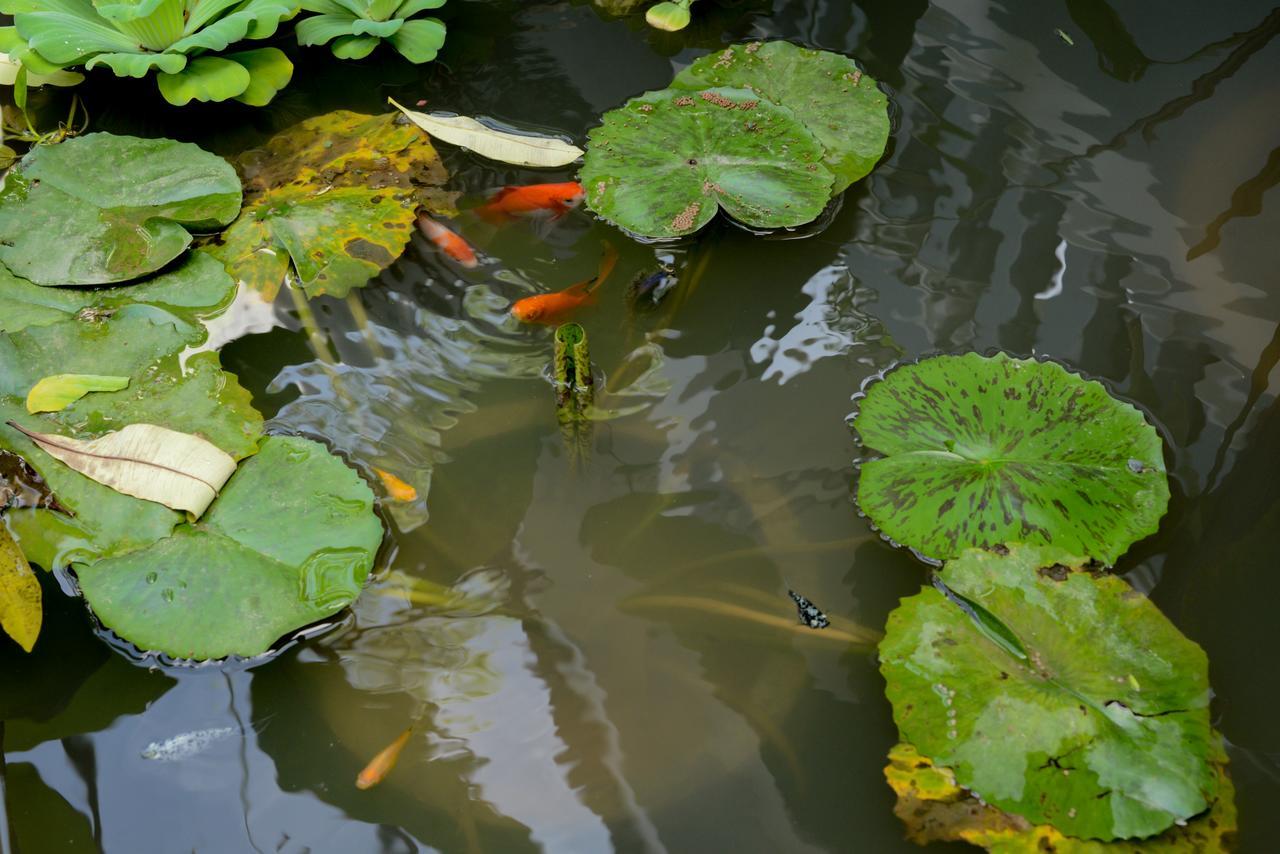 The Villa Secret Garden Siem Reap Eksteriør billede